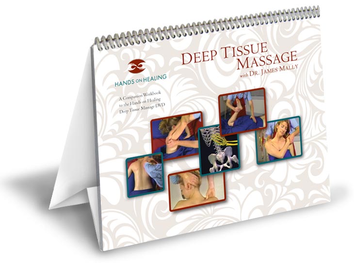 Cover: The Workbook