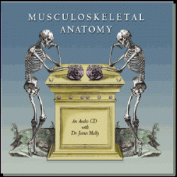 Musculoskeletal Anatomy CD