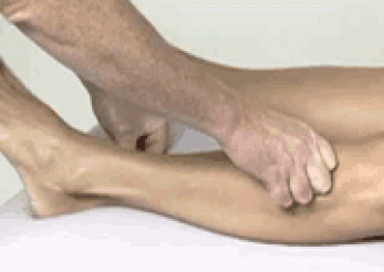 Sports+Massage+Soft+Tissue+Release+Tibialis+Anterior